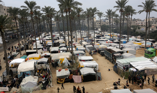 28. Palms and tents [$2000]