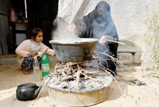 20. Cooking on firewood [$2000]