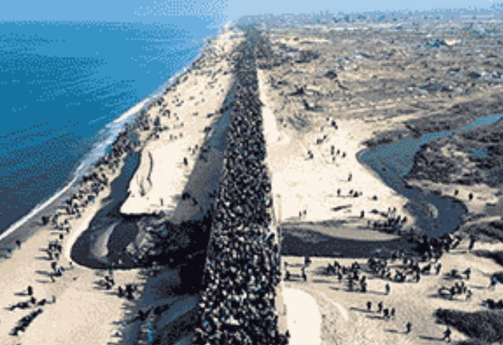 25. Return to north Gaza [$2000]