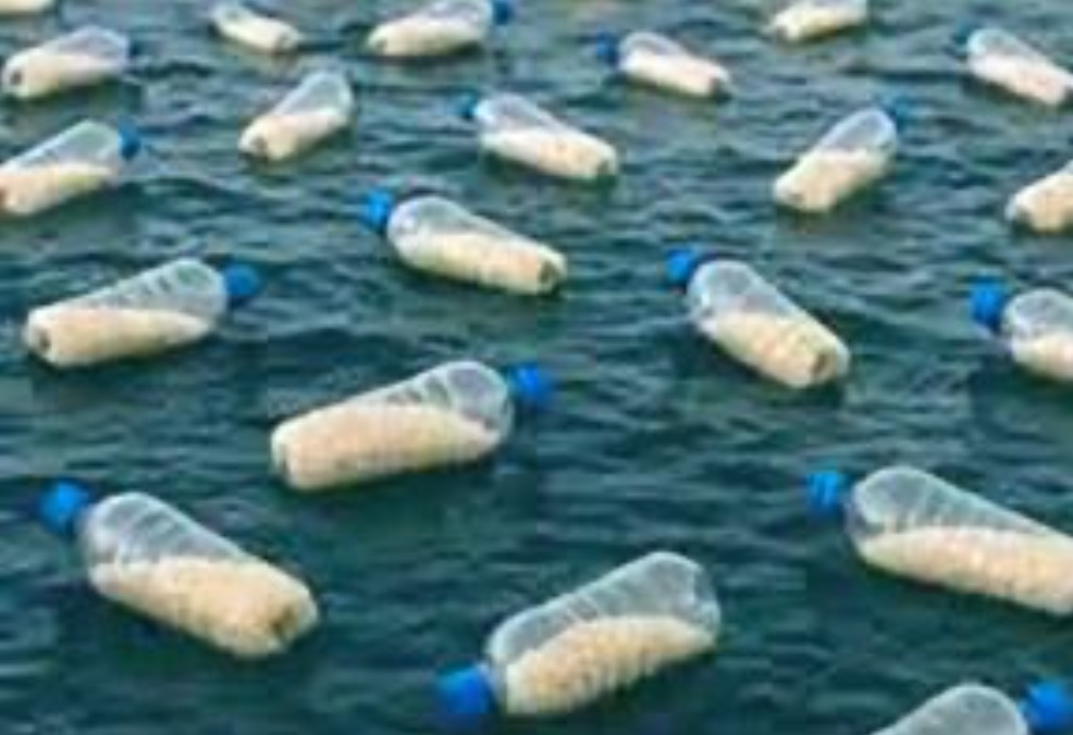 35. Bottles to Gaza [$2000]