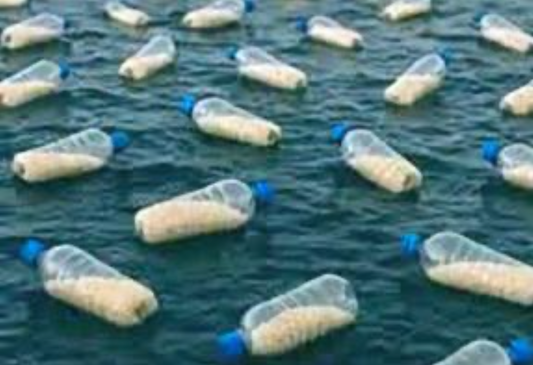 35. Bottles to Gaza [$2000]