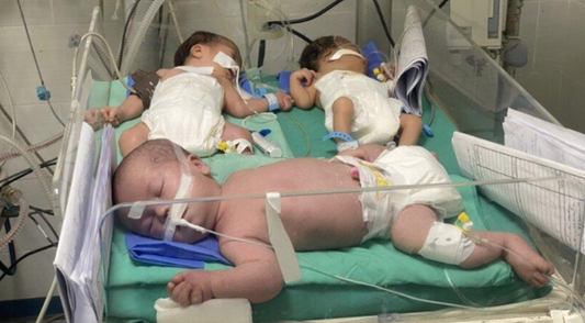 38. Babies in incubator [$2000]