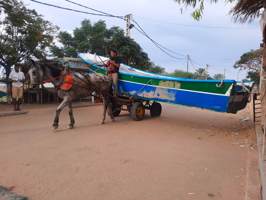 64. Boat on cart [$2000]