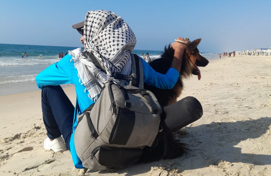 78. Displaced man adopts lost dog [$2000]